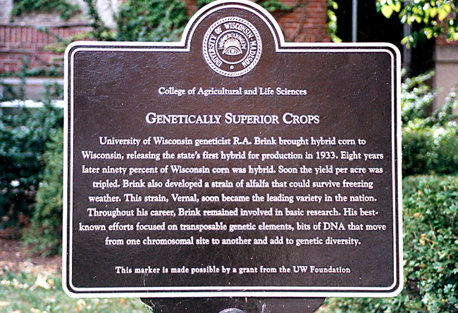 RABrink plaque UWisconsin